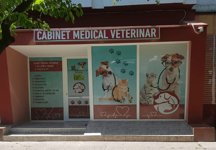 Veterinar Galati - ComsaVet